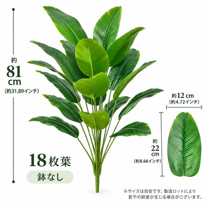 Green ストレリチア｜大きな葉が映える人工観葉植物【67〜112cm】